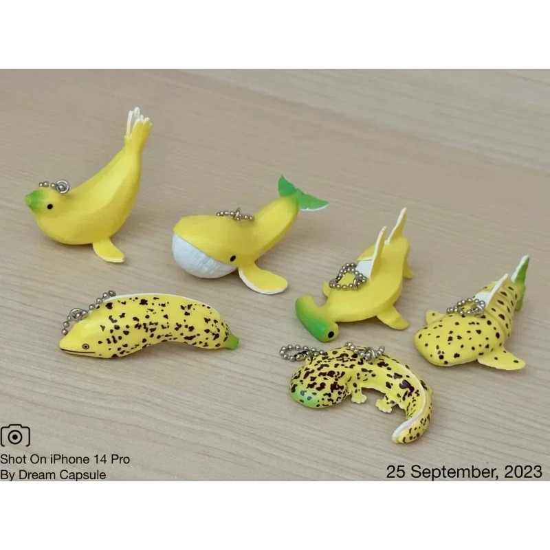 Qualia Originele Kawaii Gashap - Capsule Toy Gashapon recensie en prijs