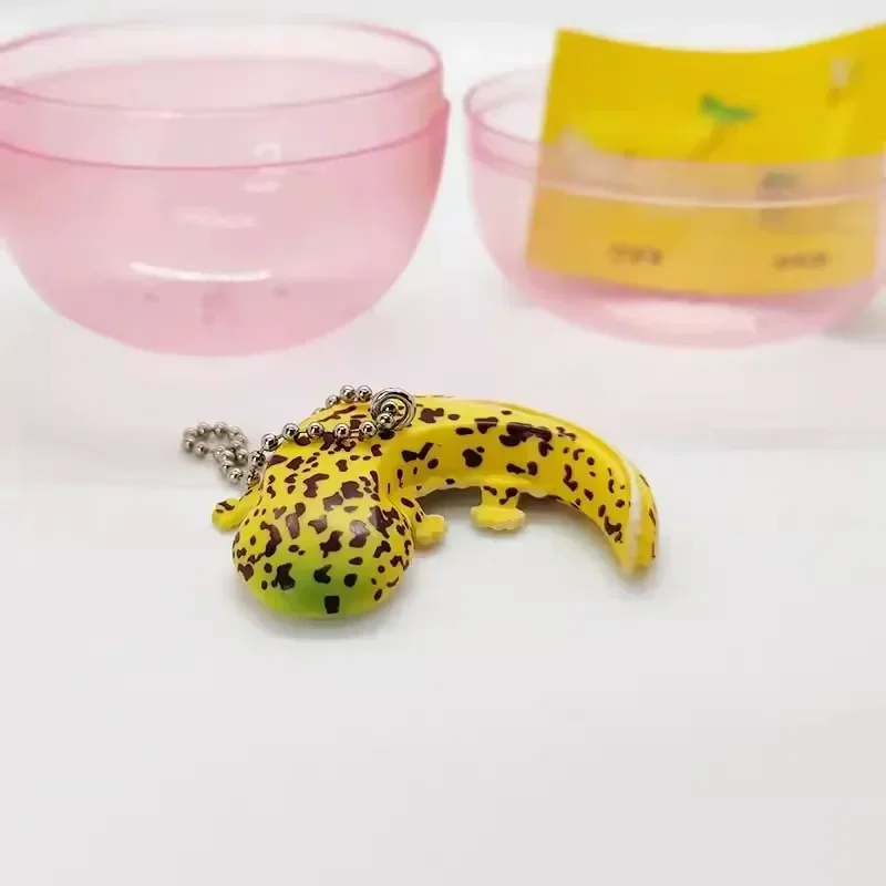 Qualia Originele Kawaii Gashap - Capsule Toy Gashapon recensie en prijs