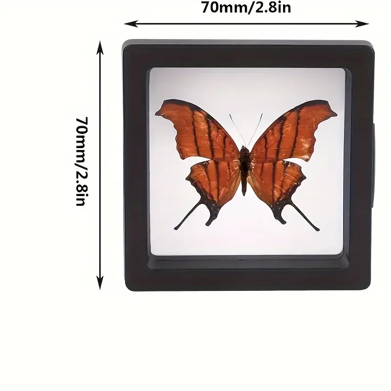 20 stuks Clearview 3D drijvend - Display Case Acrylic recensie en prijs