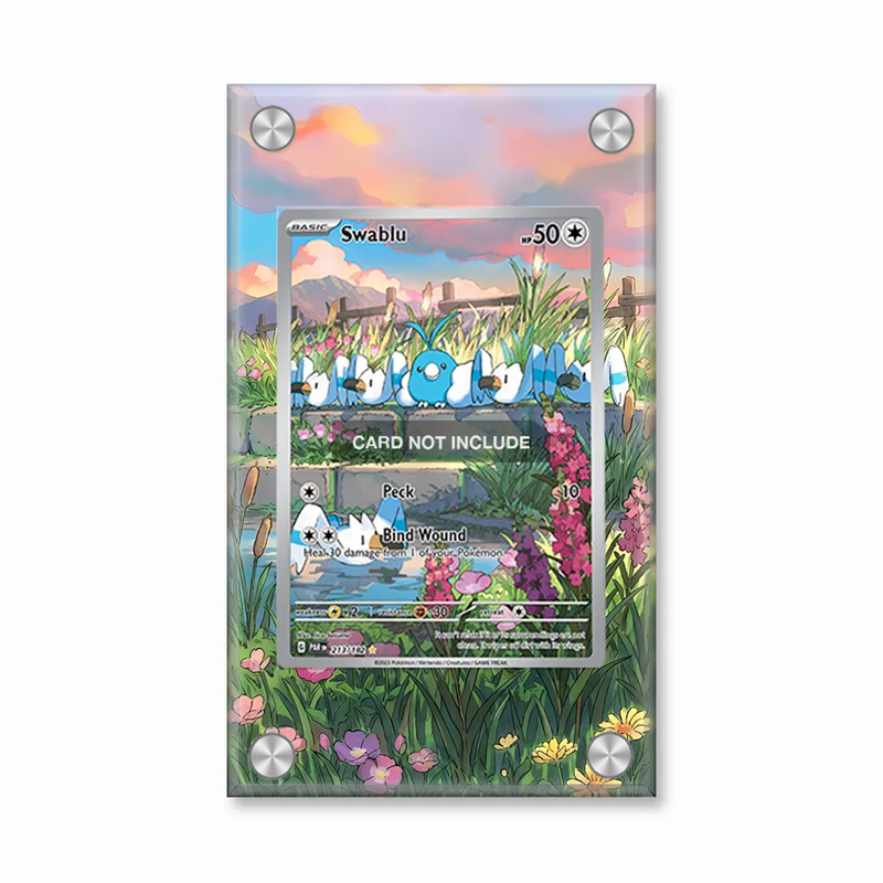 Kunstzinnige display voor Poké - Display Case Acrylic recensie en prijs